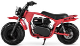 Coleman B200 RSV Adventure Bike