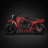 Coleman B200 RSV Adventure Bike