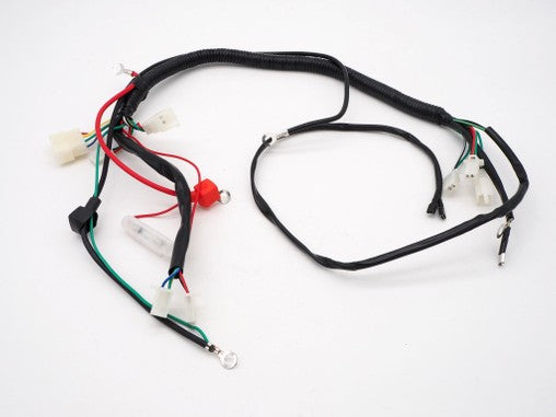 Wiring Loom for Loncin, Lifan 70cc to 250cc engine